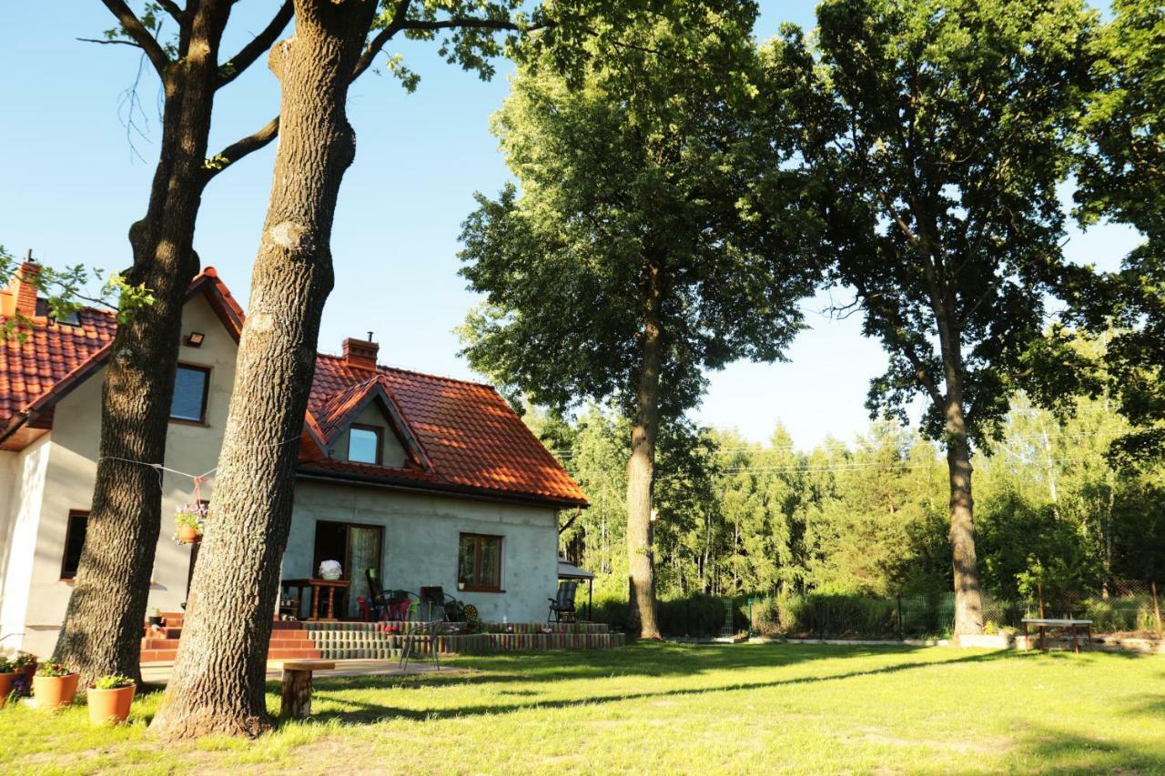 Pod Debami - Pokoje Na Mazurach Villa Wydminy Buitenkant foto